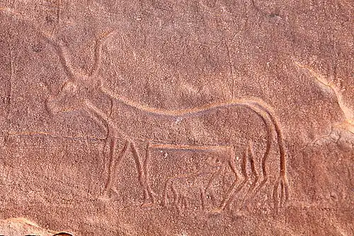 Gravure rupestre d'une vache allaitant son veau
