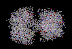 Image illustrative de l’article Acétyl-coenzyme A acétyltransférase