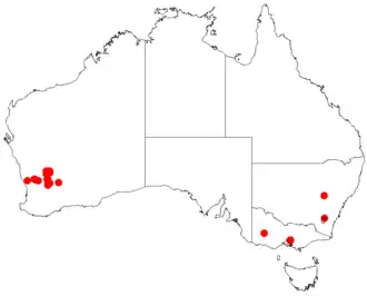 Description de l'image Acacia denticulosaDistMap275.png.