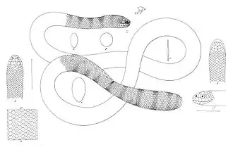 Description de cette image, également commentée ci-après