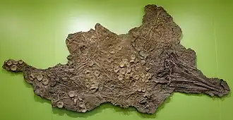 Description de cette image, également commentée ci-après