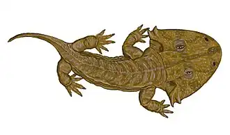 Représentation d'artiste d'Acanthostomatops vorax