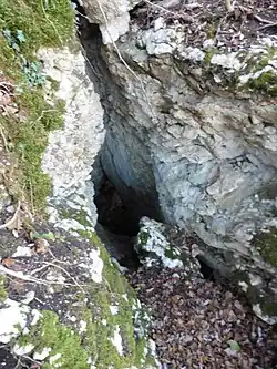 Entrée supérieure de la grotte de la Chère