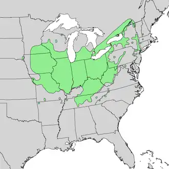 Description de l'image Acer_nigrum_range_map_1.png.