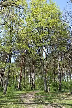 Entre Loire et forêt d'Orléans, Semoy, une des portes d'Orléans Métropole.