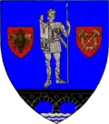 Blason de Județ de Caraș-Severin