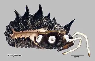 Description de cette image, également commentée ci-après