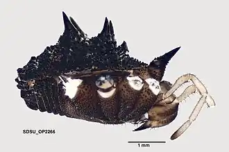 Description de cette image, également commentée ci-après