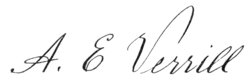signature d'Addison Emery Verrill