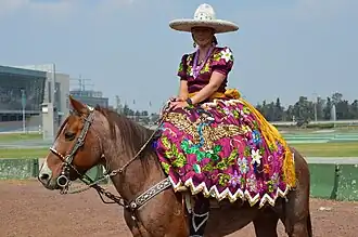 Femme avec une robe très riche en couleur sur un cheval marron au repos