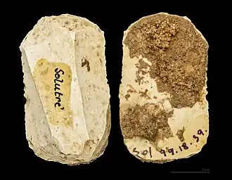 Grattoir sur éclat retouché, Muséum de Toulouse