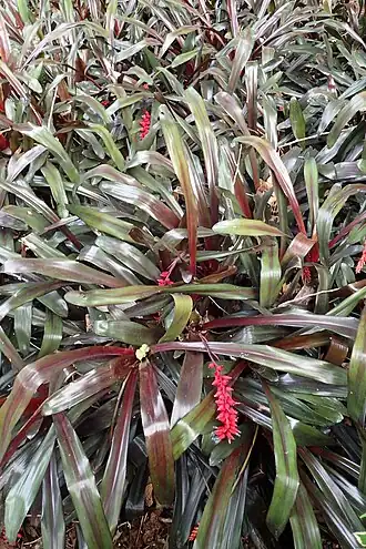 Description de cette image, également commentée ci-après