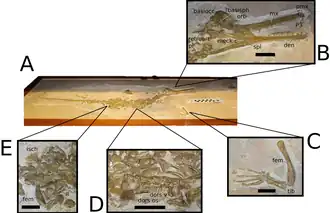 Description de cette image, également commentée ci-après