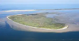 Image illustrative de l’article Memmert