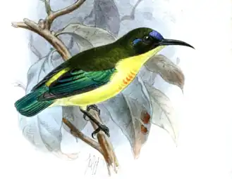 Description de cette image, également commentée ci-après