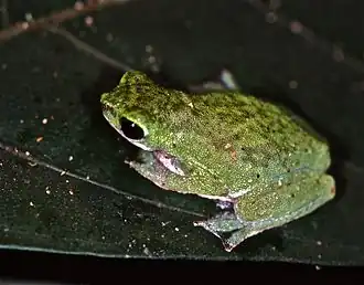 Description de cette image, également commentée ci-après
