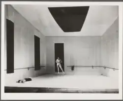 Décors conçus pour Afternoon of a Faun (1953).