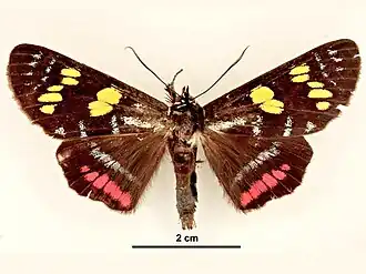 Description de cette image, également commentée ci-après