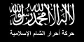 Drapeau non-officiel d'Ahrar al-Cham, rarement utilisé.