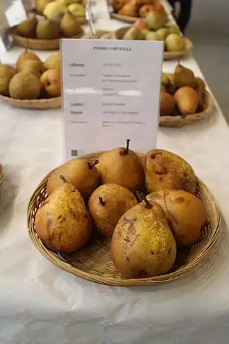 Description de cette image, également commentée ci-après