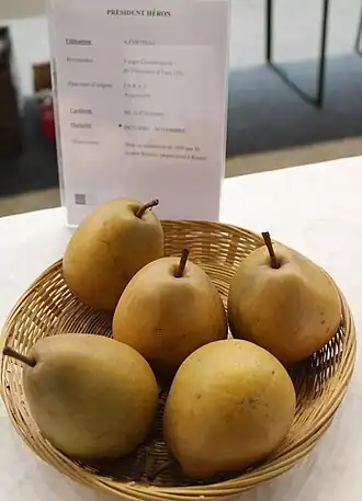 Description de cette image, également commentée ci-après