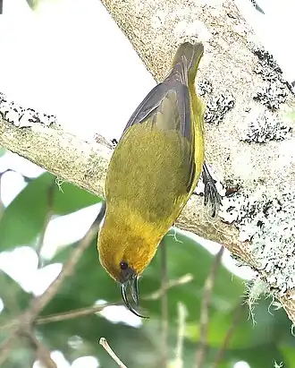 Description de cette image, également commentée ci-après