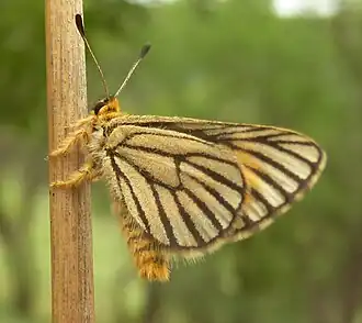 Description de cette image, également commentée ci-après