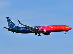 Livrée More To Love, Boeing 737-900