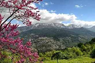 Vue de la Punta Artica (au centre) depuis Calasima.