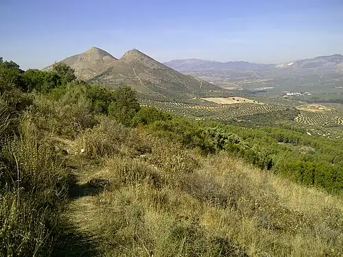 Vue de l'Elvira (à gauche) depuis la tour de Sierra Elvira&nbsp;(es) (Torreón de Albolote).
