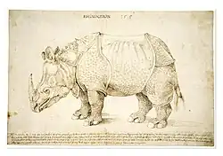 Dessin à la plume d'un rhinocéros.