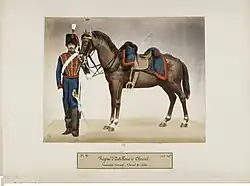 Canonnier servant de la Garde impériale et son cheval de selle.