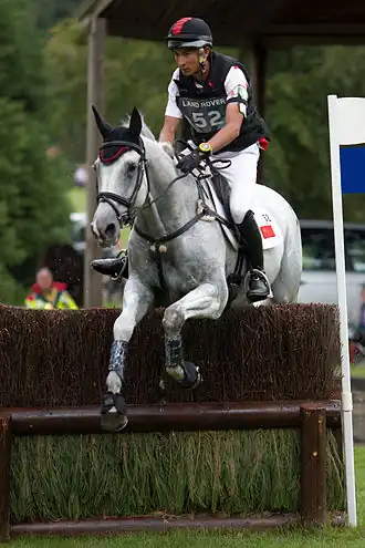 Image illustrative de l’article Alex Hua Tian