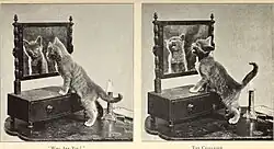 "Who are you ? ... The challenge"