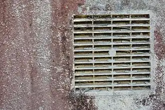 Algues rouges sur mur (Bretagne).