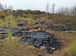 Image illustrative de l’article Alignement de Kerdruellan