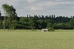 Allée couverte de l'Étang des Essarts