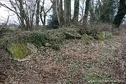 Image illustrative de l’article Allée couverte de l'Église Blanche