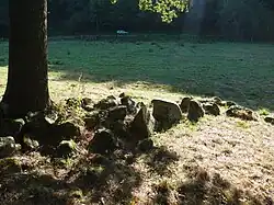 Image illustrative de l’article Allée couverte des Bonnes Dames