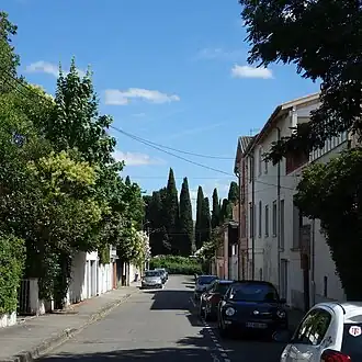 Image illustrative de l’article Allée des Acacias