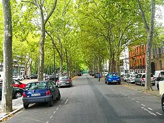 Image illustrative de l’article Allées Paul-Sabatier