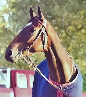 Image illustrative de l’article All Along