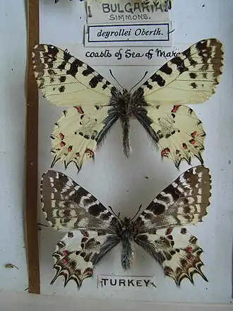 Description de l'image Allancastria12.JPG.