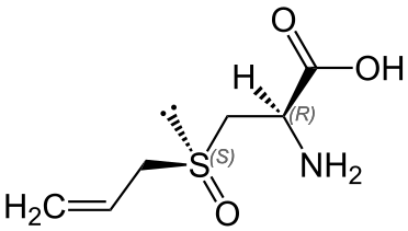 Structure de l'alliine, un sulfoxyde naturel.