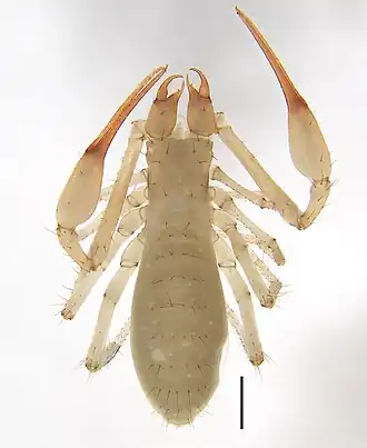 Description de cette image, également commentée ci-après