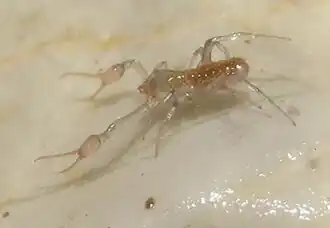 Description de cette image, également commentée ci-après