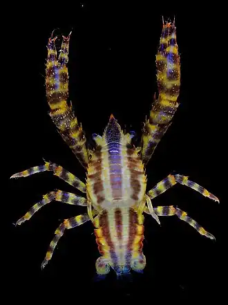 Description de cette image, également commentée ci-après