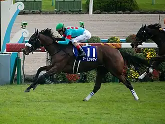 Image illustrative de l’article Almond Eye