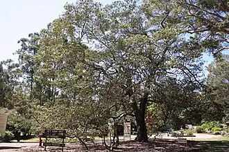 Description de cette image, également commentée ci-après