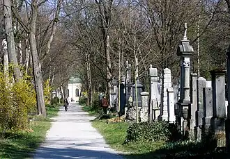 Vue d'une allée du cimetière